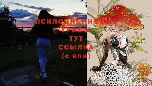 2c-b Алексин
