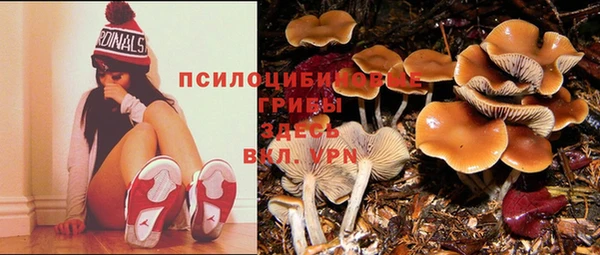 2c-b Алексин