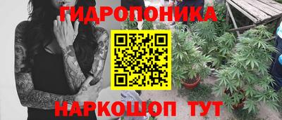 бутират Гай
