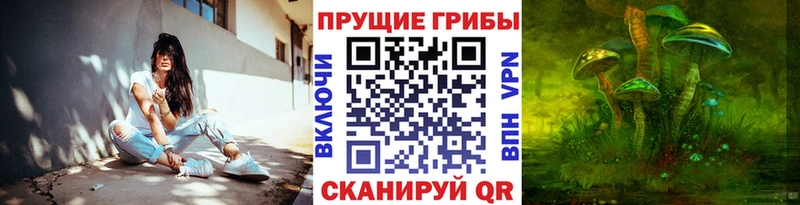 магазин продажи наркотиков  Рубцовск  Псилоцибиновые грибы прущие грибы 