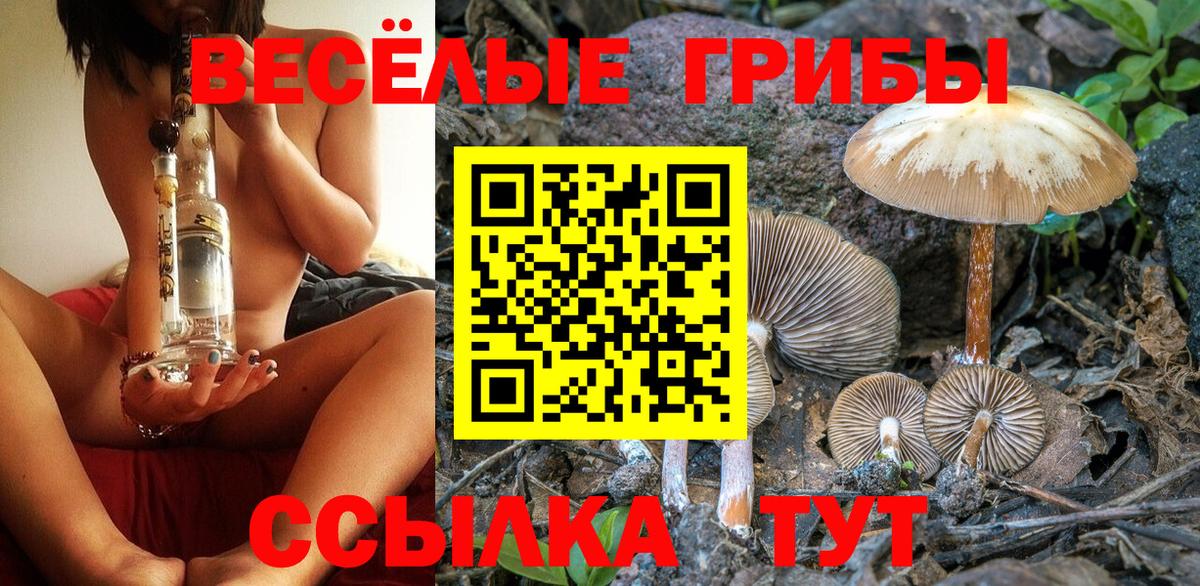 Галлюциногенные грибы GOLDEN TEACHER Рубцовск