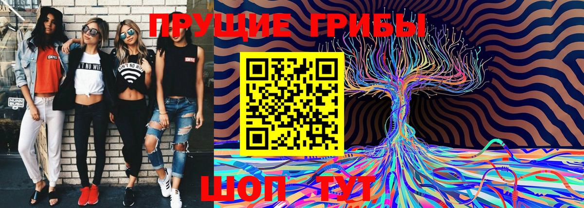 Рубцовск  Псилоцибиновые грибы Cubensis  Псилоцибиновые грибы Magic Shrooms  Вход с VPN 