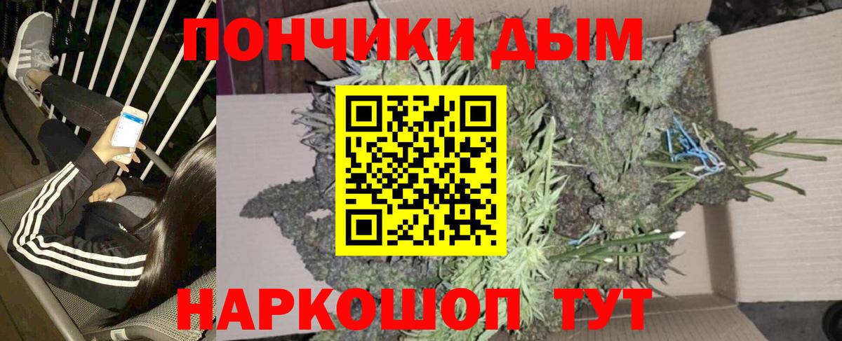 Бошки марихуана марихуана Рубцовск